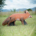 Wildcrete Fox stalking